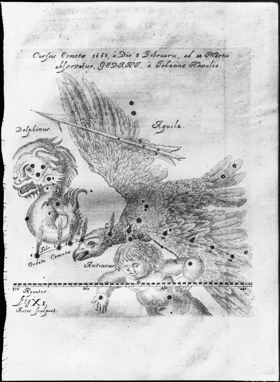 Kometen som upptäcktes och observerades av Johannes Hevelius från den 3 februari till den 28 mars 1661 i Gdansk. av Johannes Hevelius
