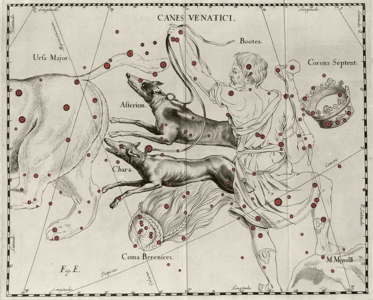 Stjärnbilden Canes Venatici, Jakthundar. Plåt tecknad från "" Firmamentum Sobiescanum sive Uranographia"" av Johannes Hevelius eller Hevel (1611-1687) av Johannes Hevelius
