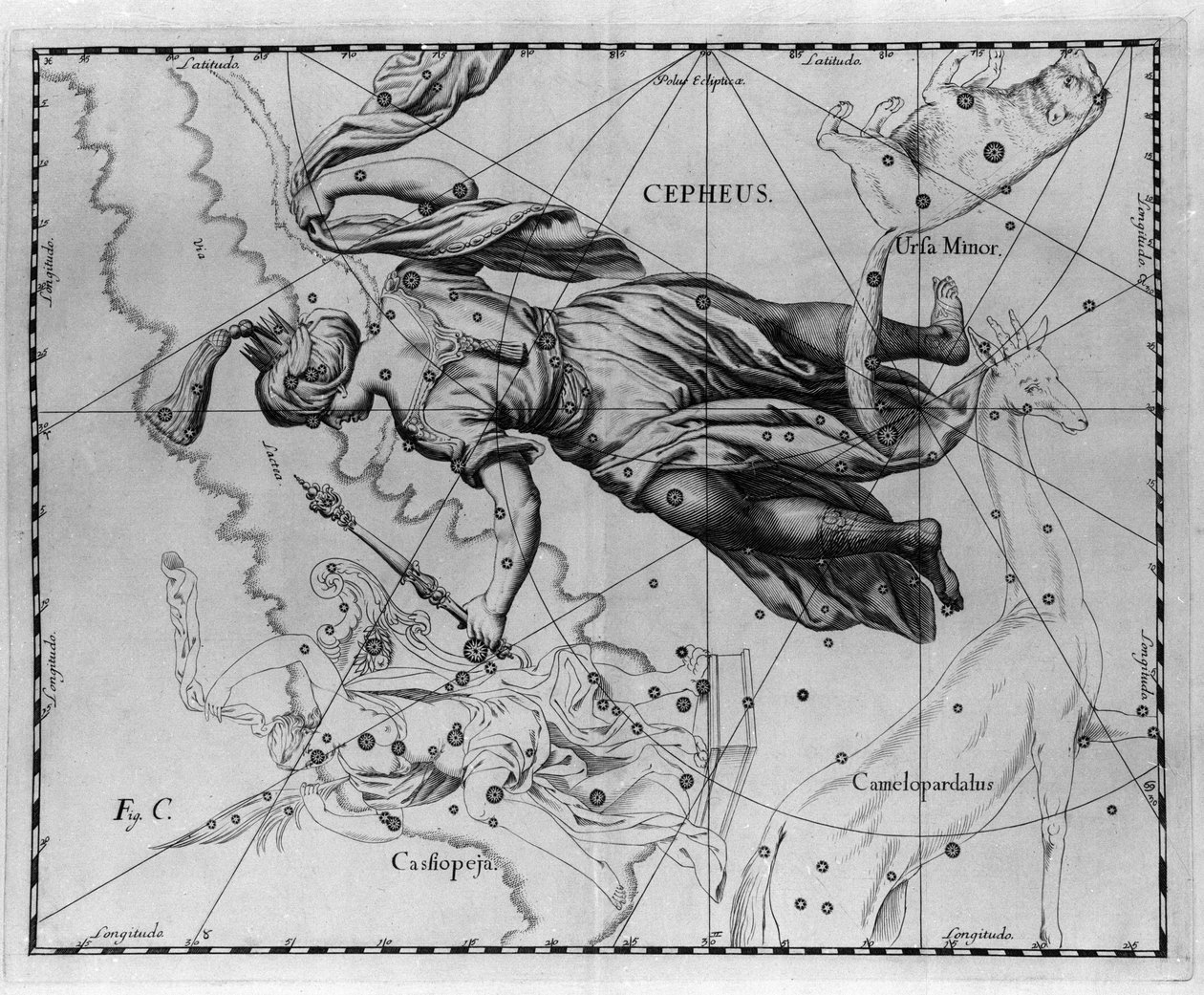 Stjärnbilden Cepheus (eller Cephee), kung av Etiopien. Plåt tecknad från "" Firmamentum Sobiescanum sive Uranographia"" av Johannes Hevelius eller Hevel (1611-1687) av Johannes Hevelius