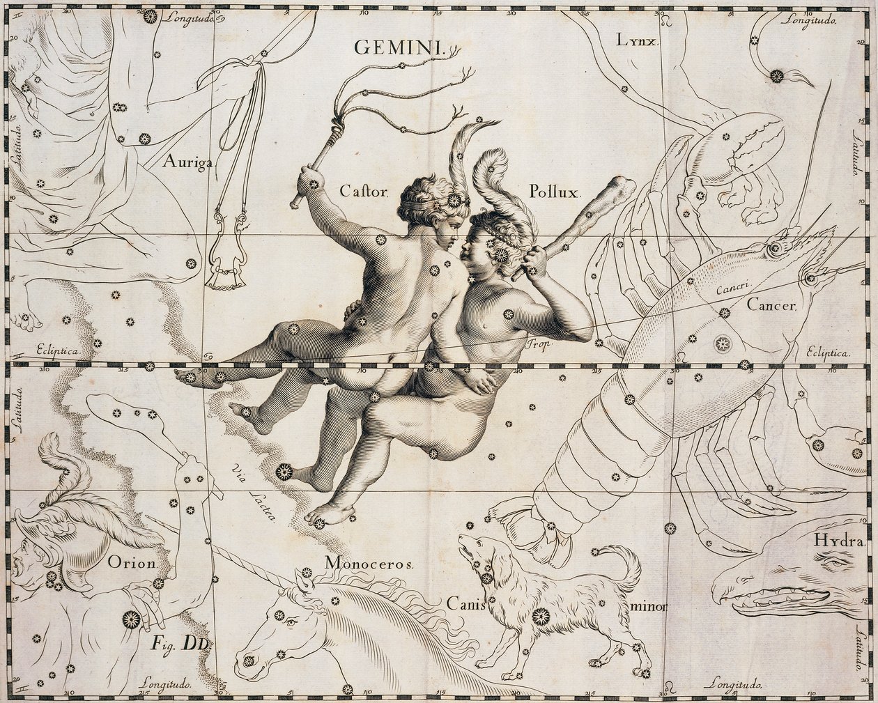 Stjärnbilden Tvillingarna, illustration från Firmamentum Sobiescianum sive Uranographia, av Johann Hevelius (1611-1687), Gdansk 1690 av Johannes Hevelius