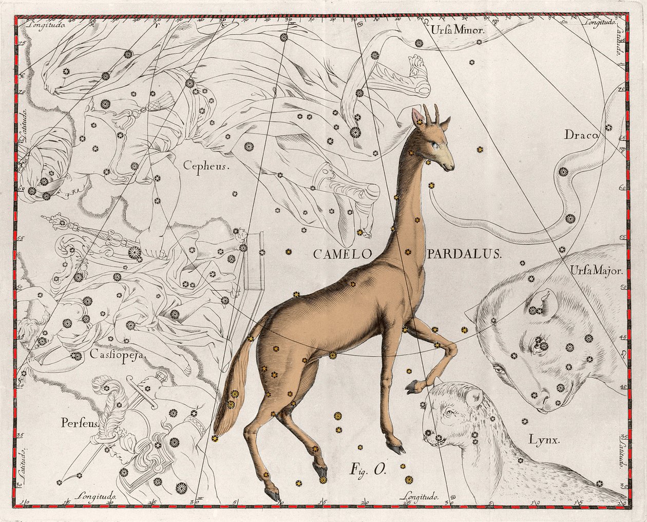 Konstellationen av giraffplattan hämtad från "" Firmamentum Sobiescanum sive Uranographia"" av Johannes Hevelius eller Hevel (1611-1687) av Johannes Hevelius