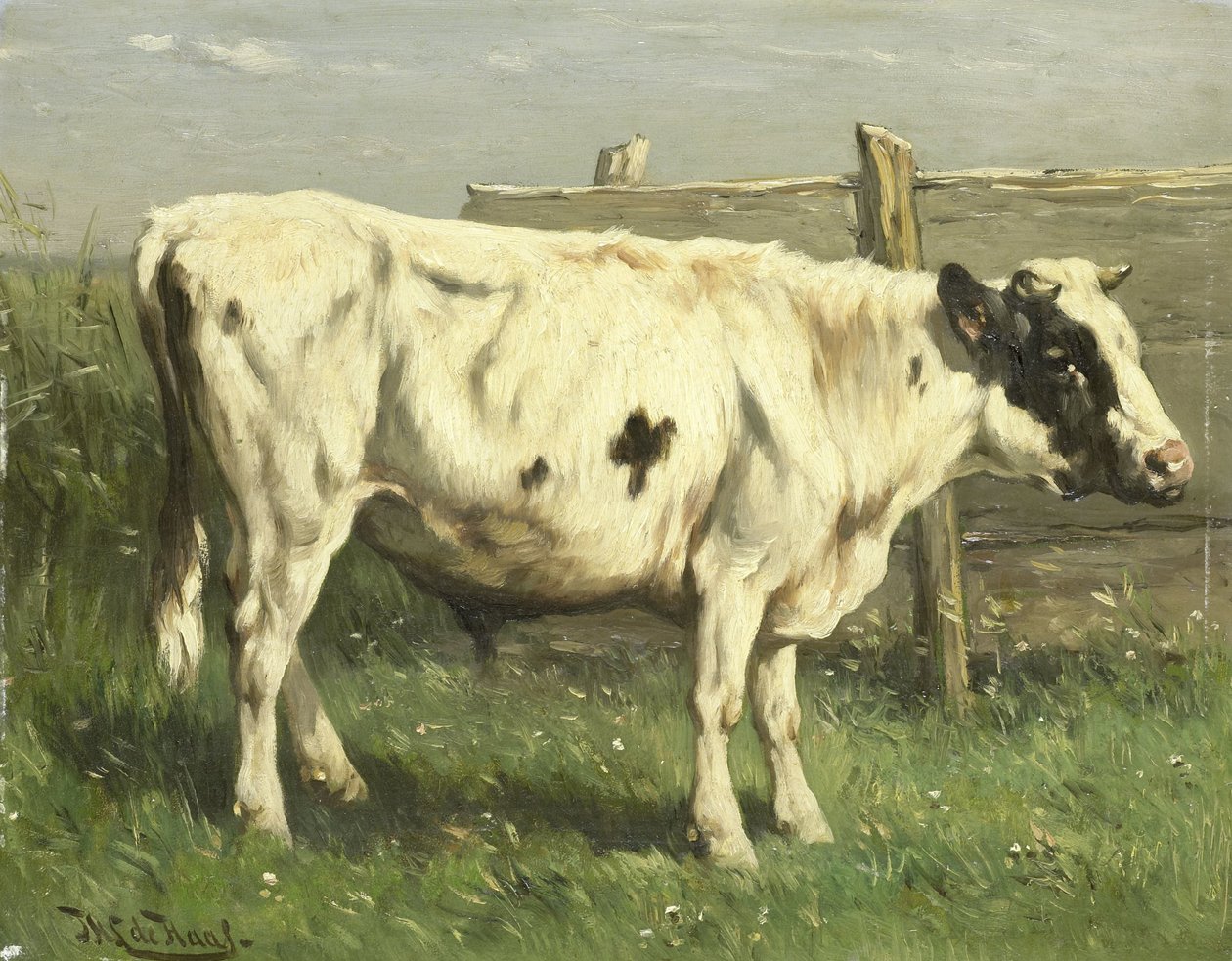 Ung tjur av Johannes Hubertus Leonardus de Haas