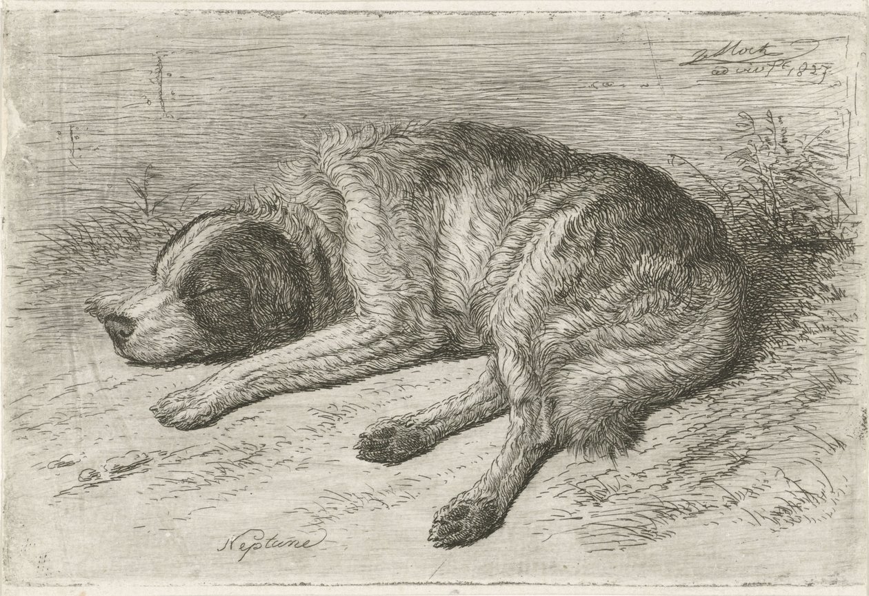 Sovande hund till vänster Neptunus (titel på objekt) av Johannes Mock