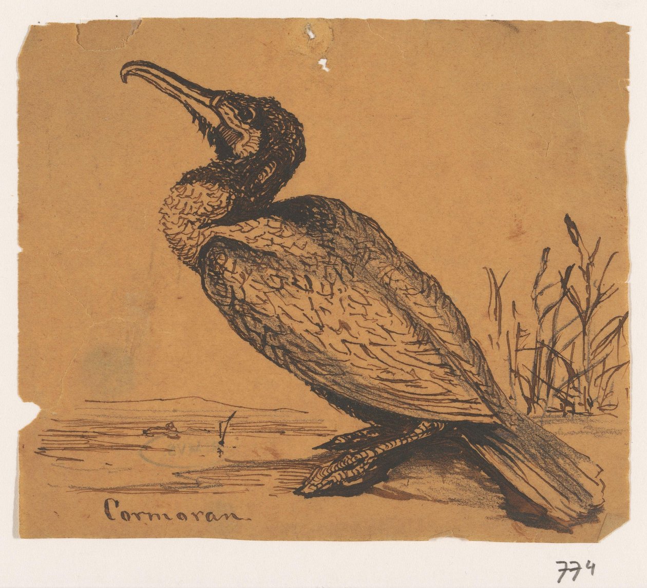Skarv Cormoran (titel på objekt) av Johannes Tavenraat