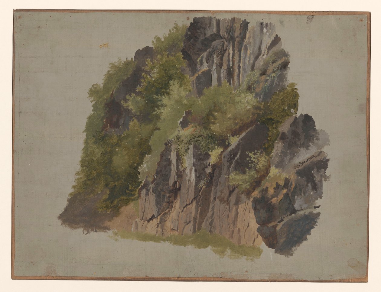 Stenar och vegetation av Johannes Tavenraat