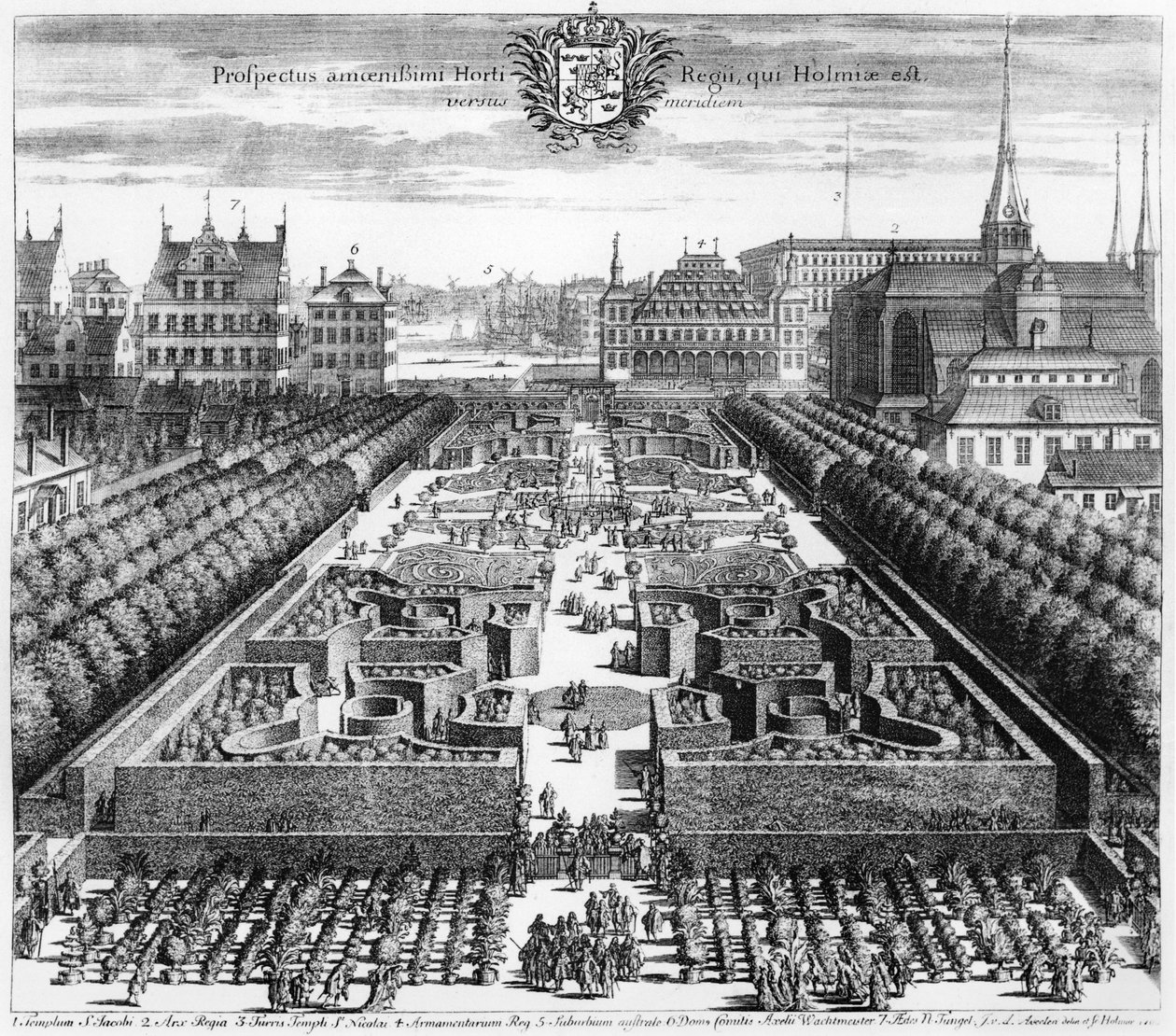 Stockholms kungliga trädgård, illustration från 