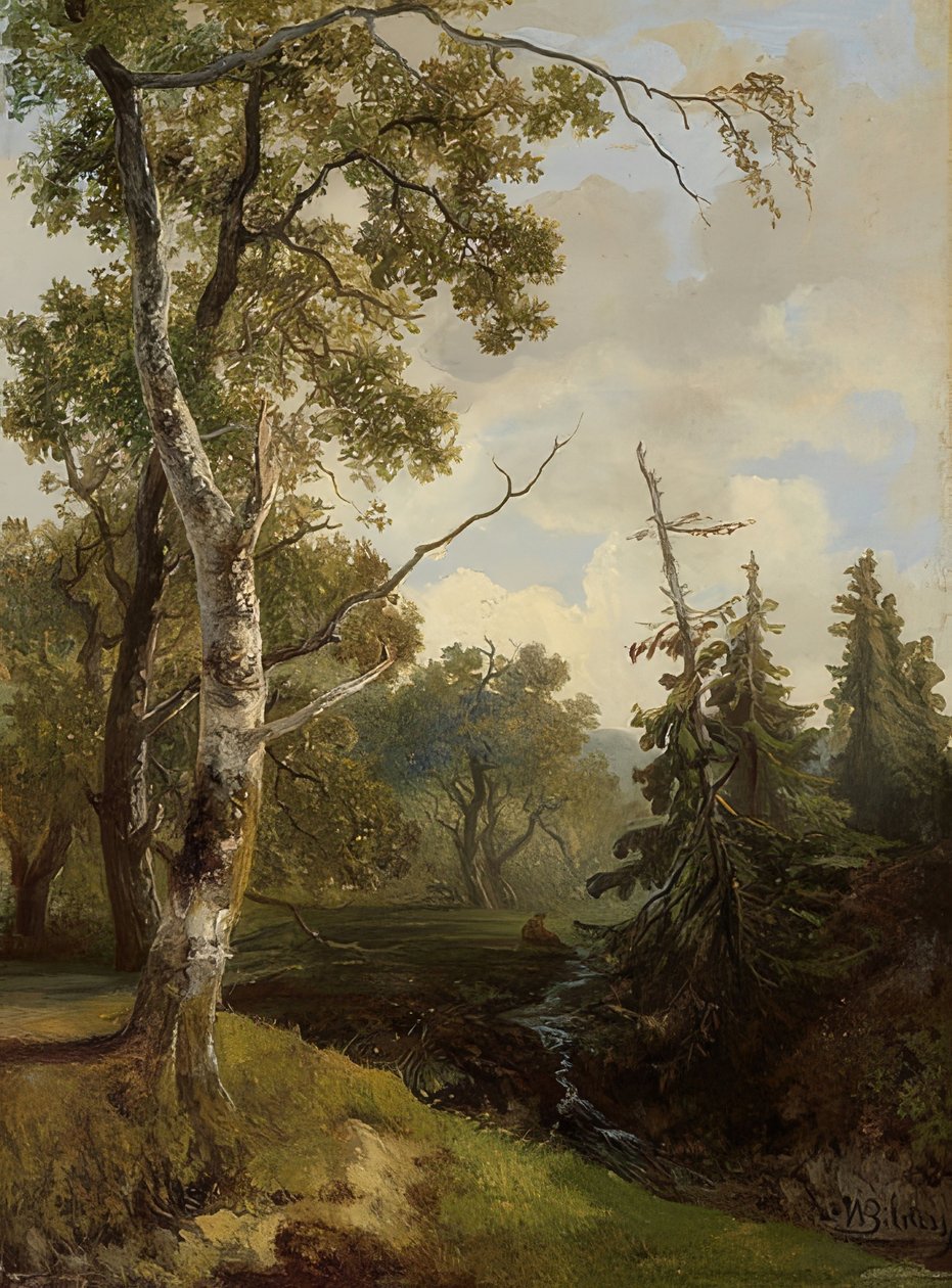 Waldstück bei Wolfheze (skogsutsikt vid Wolfheze) av Johannes Warnardus Bilders