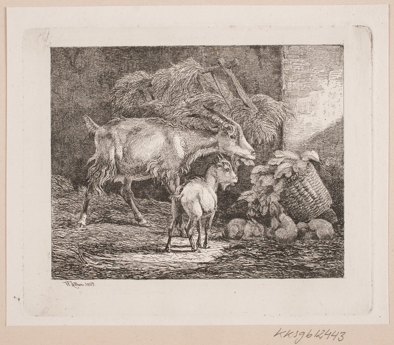 En get, en unge och kaniner i en lada av Johannes Wilhelm Zillen