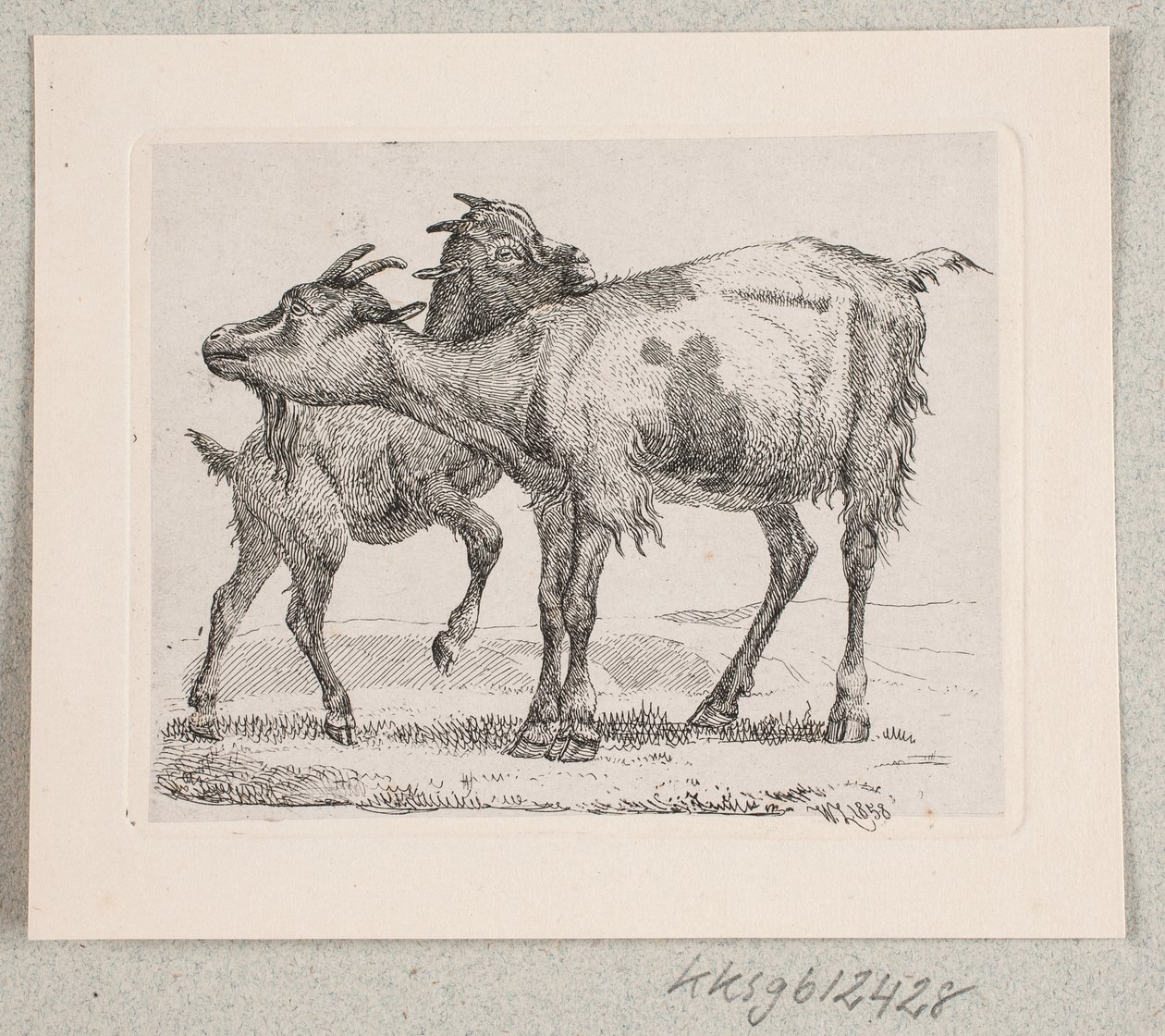 En get med sin unge av Johannes Wilhelm Zillen