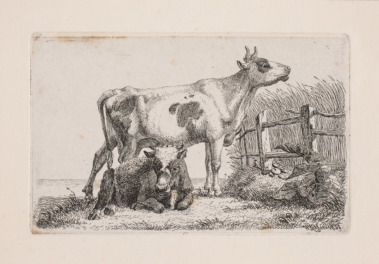 En vilande och en stående ko av Johannes Wilhelm Zillen