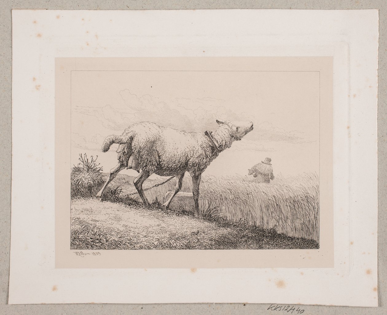 Ett bräkande får av Johannes Wilhelm Zillen