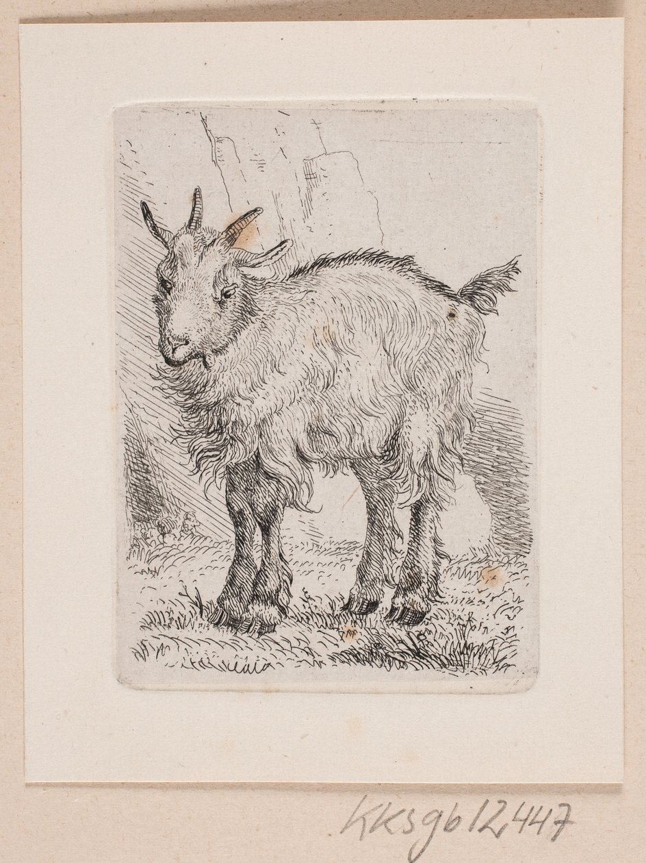 En getunge av Johannes Wilhelm Zillen