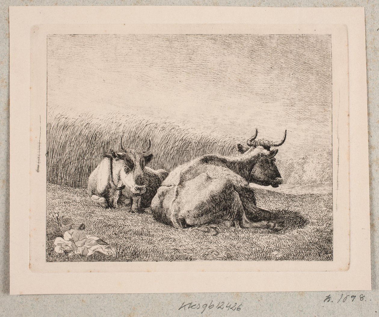 Två vilande kor av Johannes Wilhelm Zillen