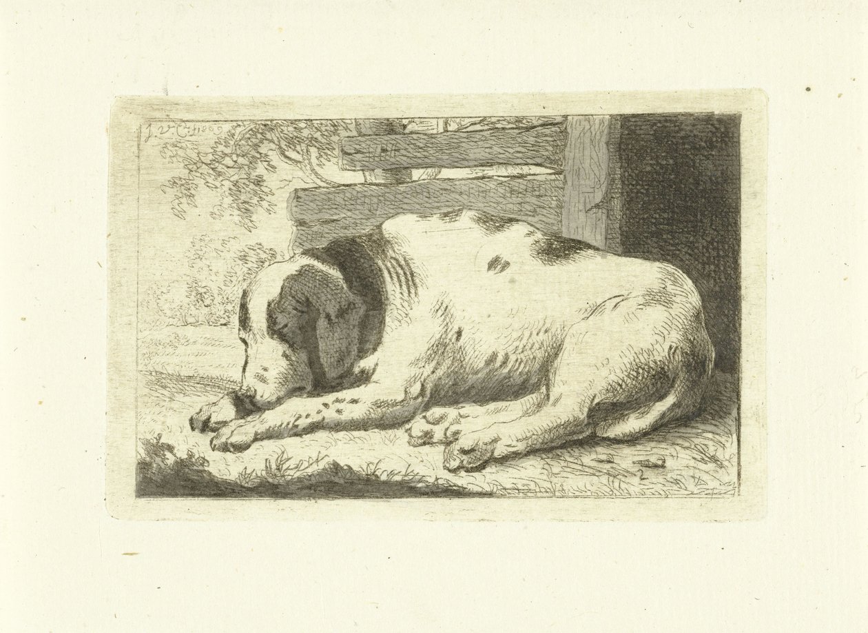 sovande hund av Johannes van Cuylenburgh