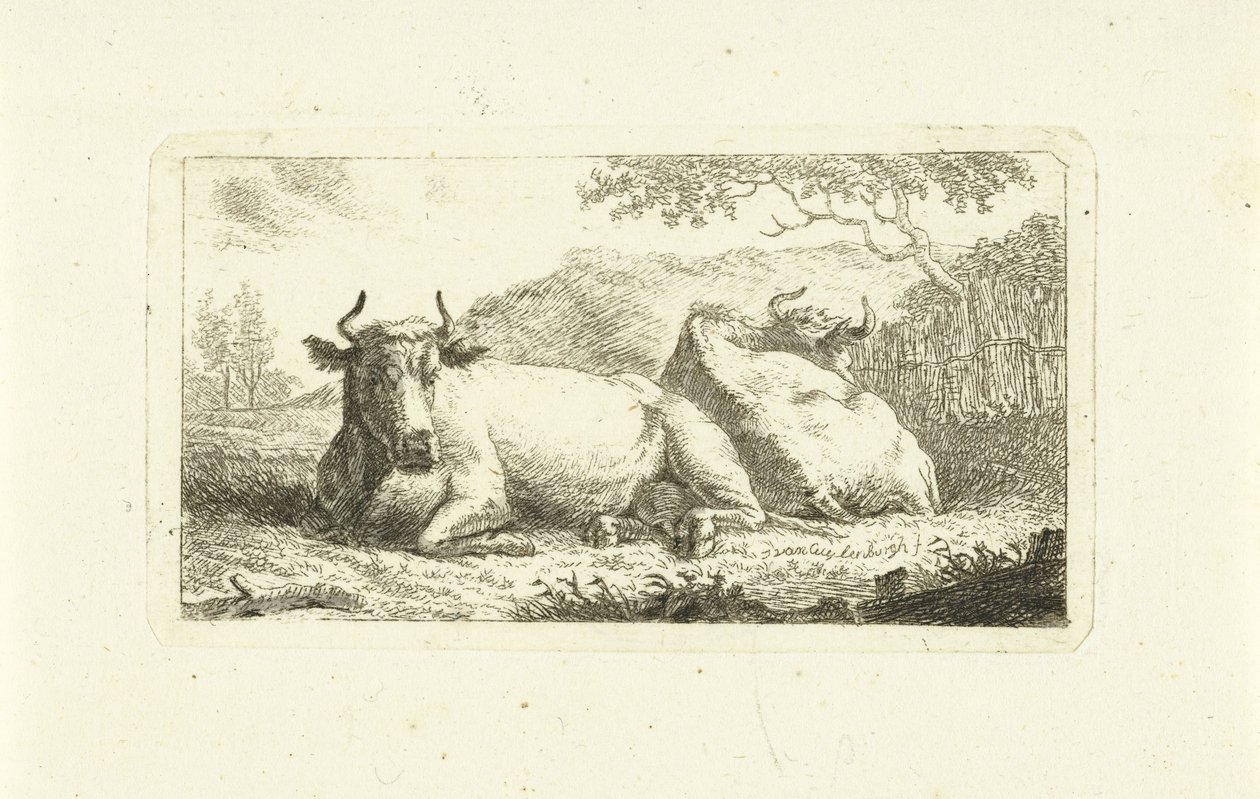 Två liggande kor av Johannes van Cuylenburgh