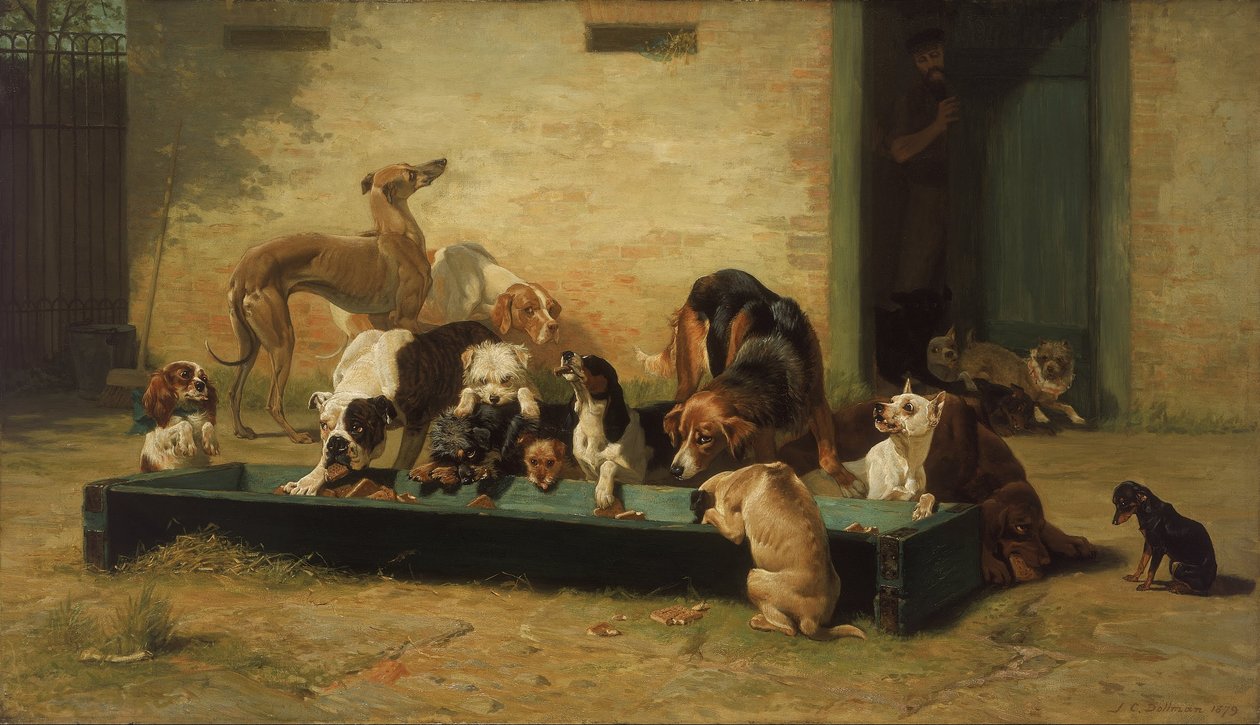 Tabell dHote på ett hundhem av John Charles Dollman