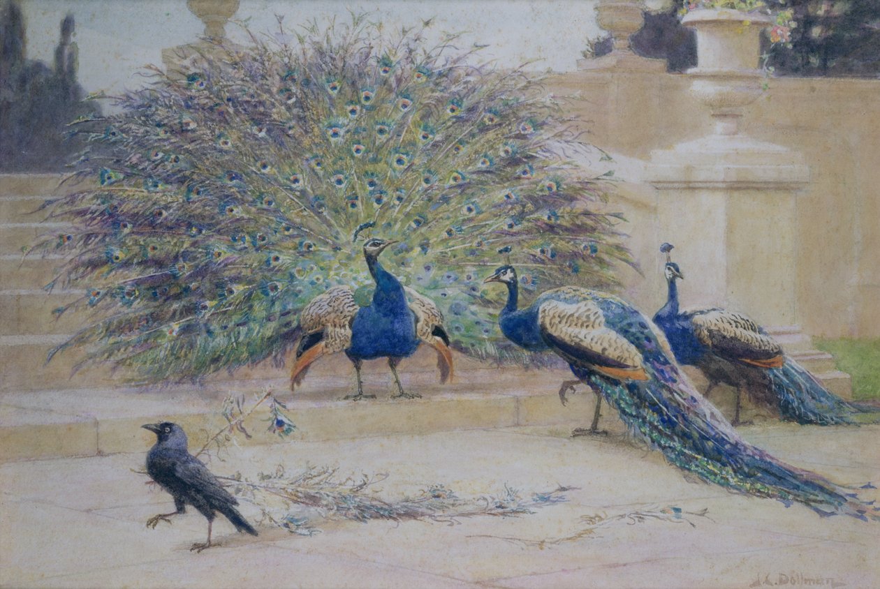 Den lånade plymen av John Charles Dollman