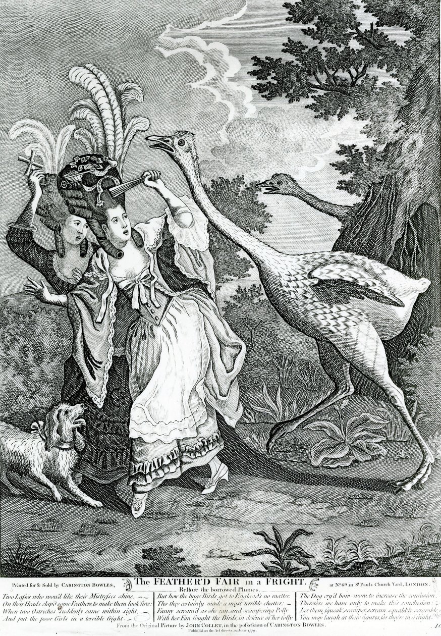 Fjäderfävännen i skräck, 1779 av John Collet
