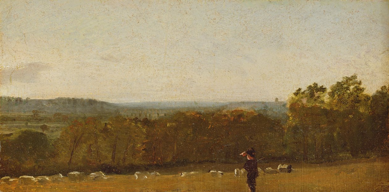 En herde i ett landskap som tittar över Dedham Vale mot Langham, ca 1810 (olja på papper på duk) av John Constable