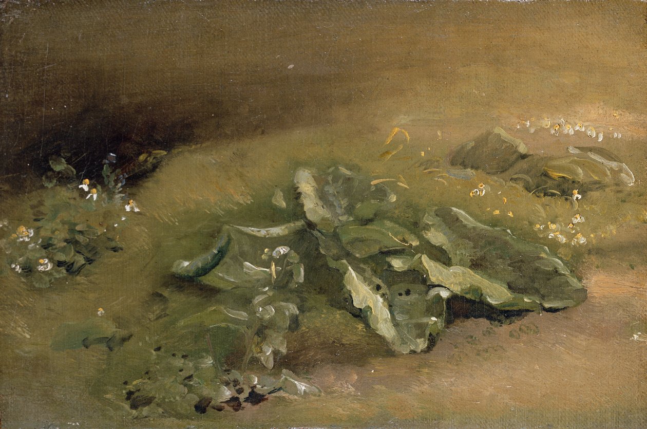 En studie av kardborre av John Constable