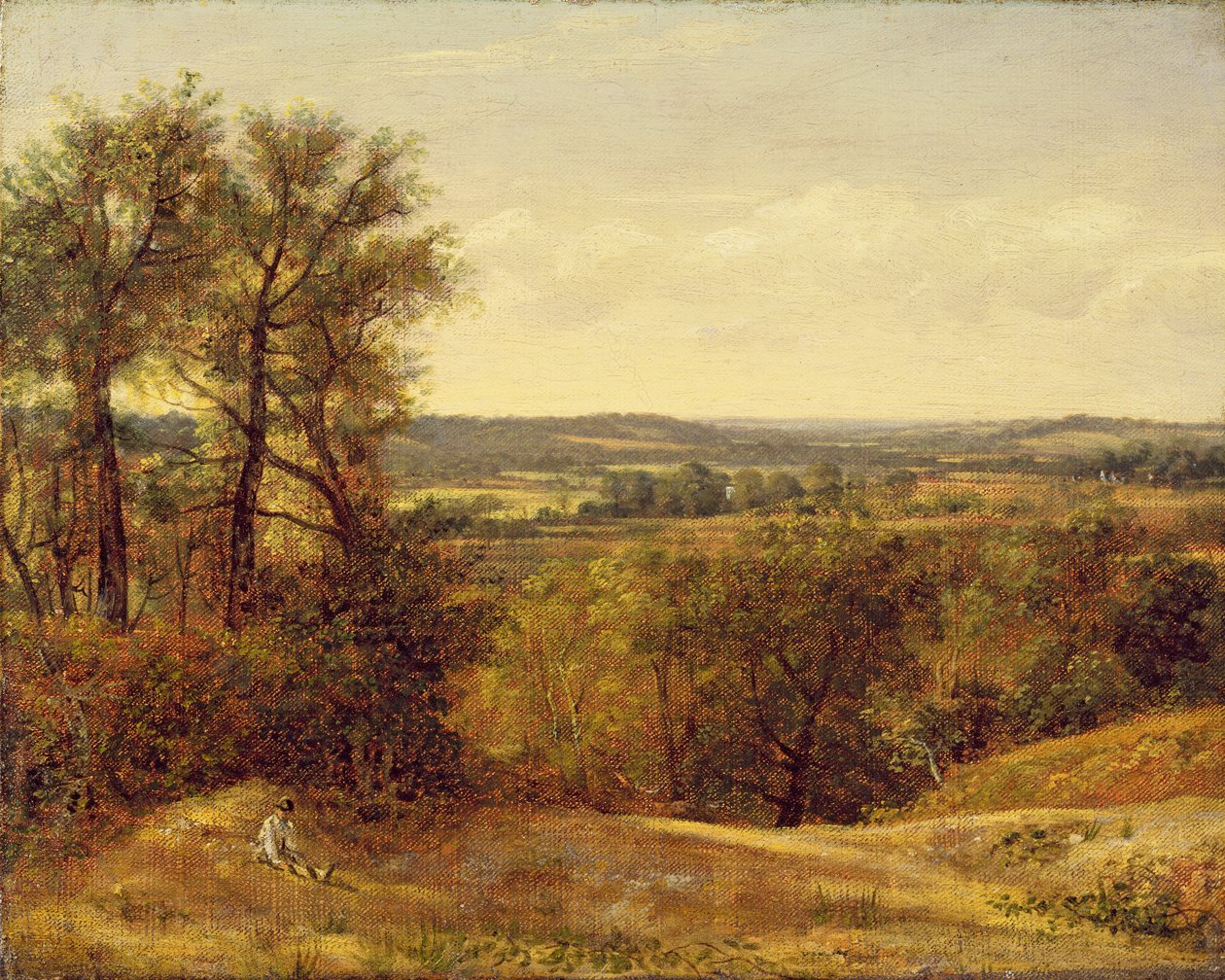 Dedham Vale, omkring 1802 av John Constable