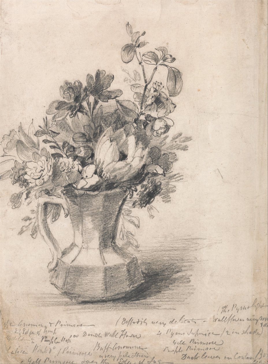Flowers in a Pitcher av John Constable