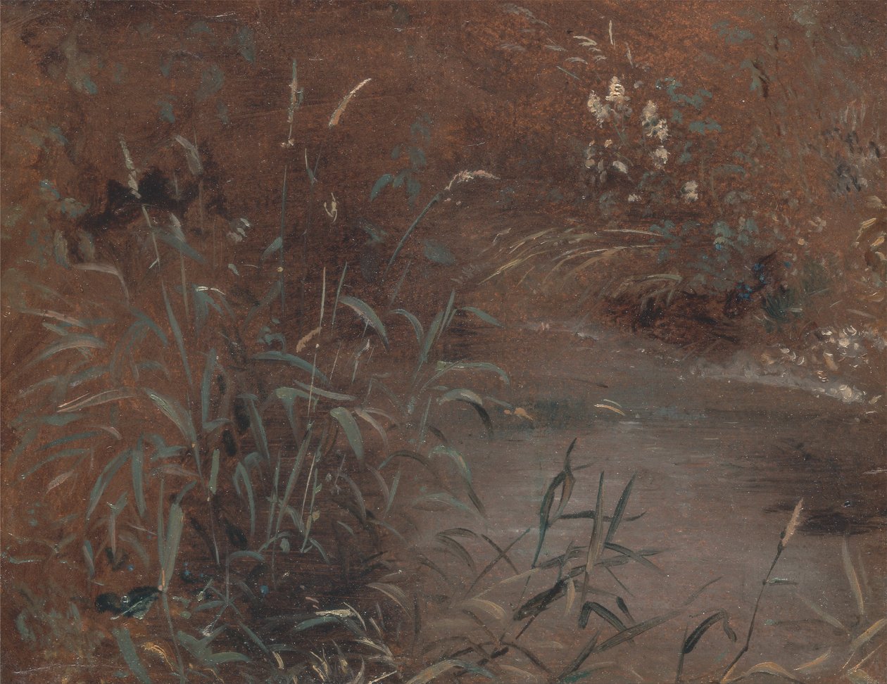 Rusar vid en pool av John Constable