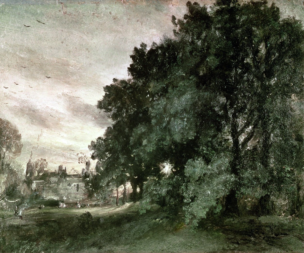 Studie av träd (olja på papper) av John Constable
