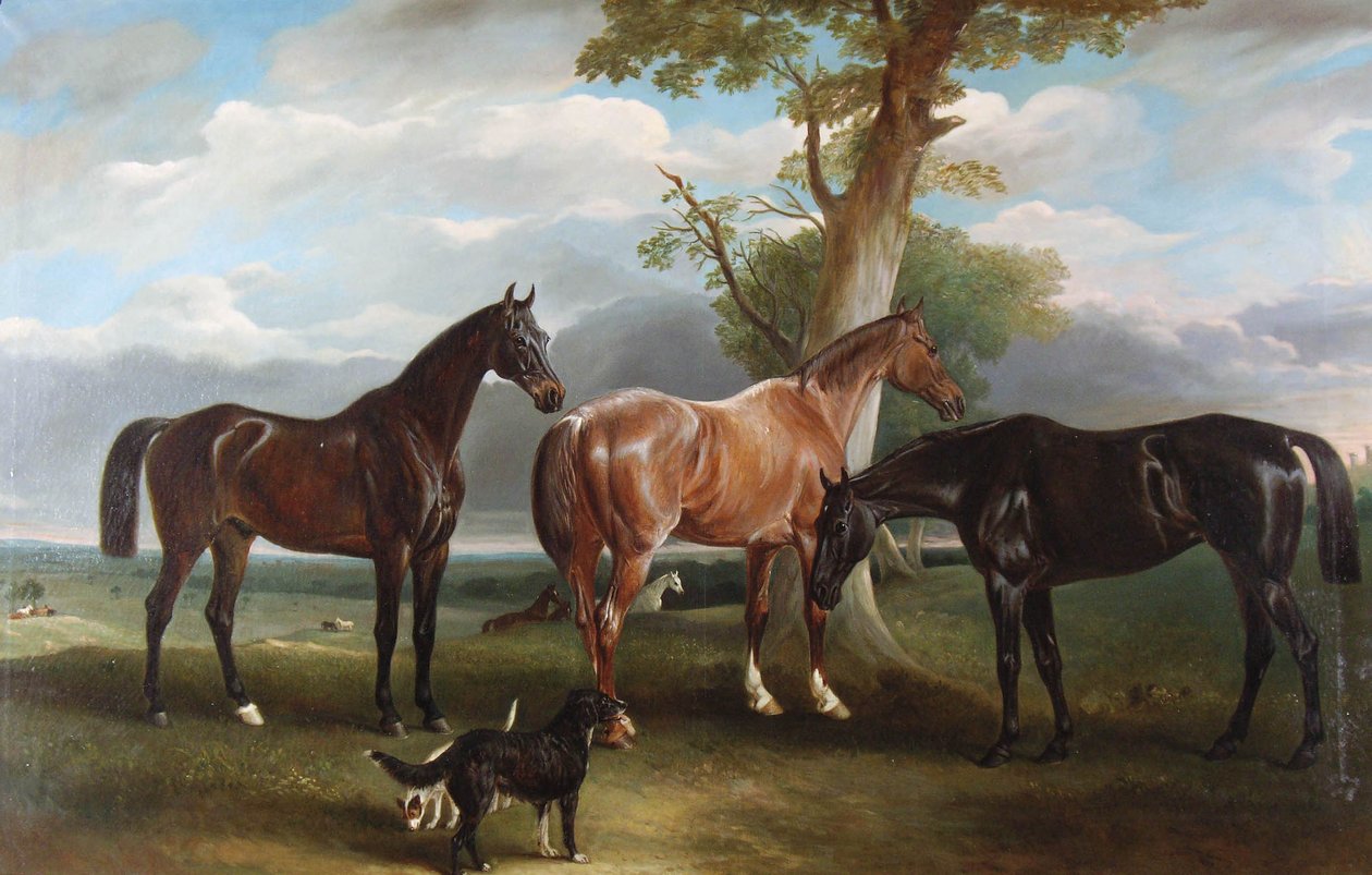 Den 6:e hertigens favoritjägare och hundar, 1857 av John E. Ferneley