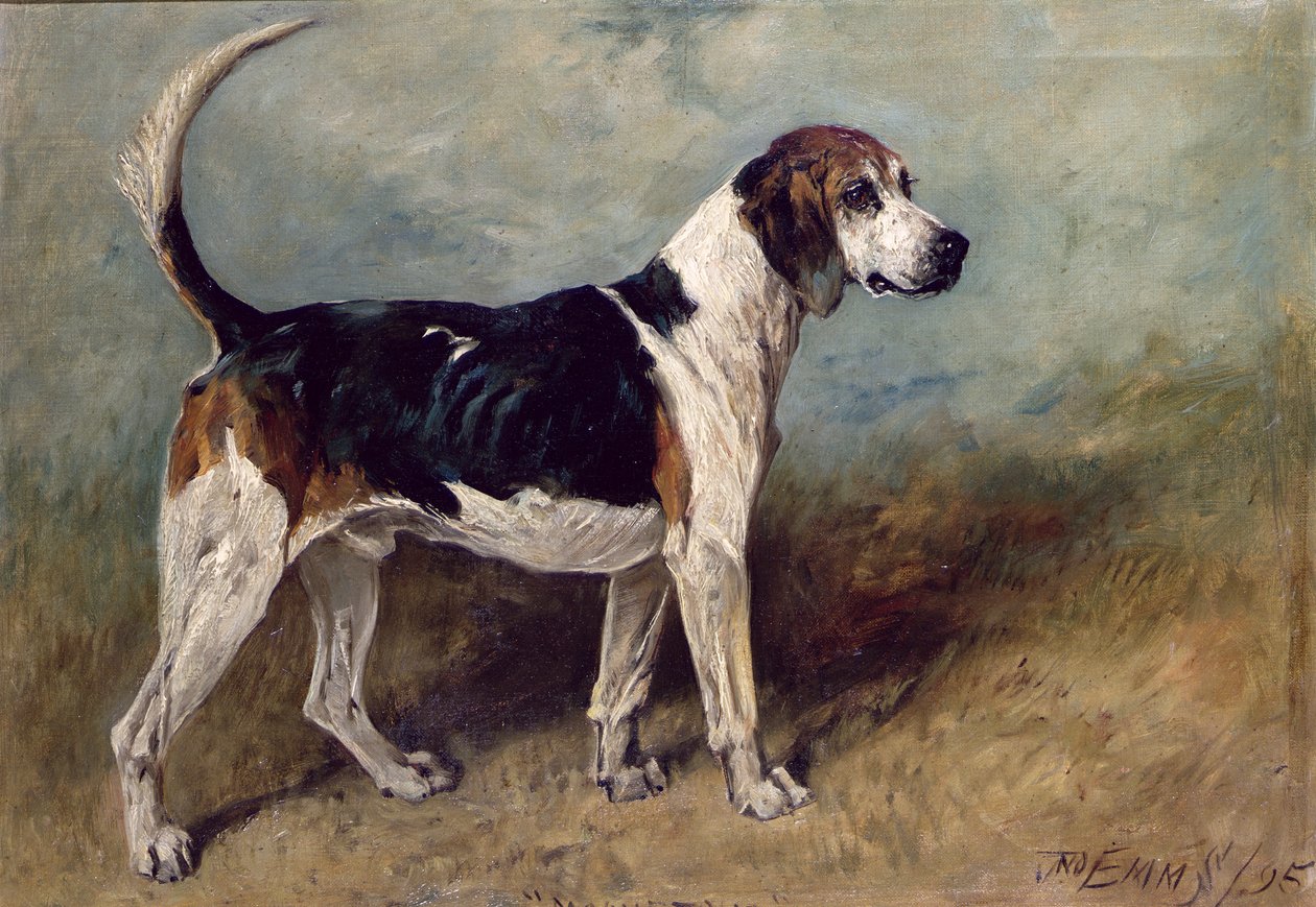 Månsten, 1895 av John Emms