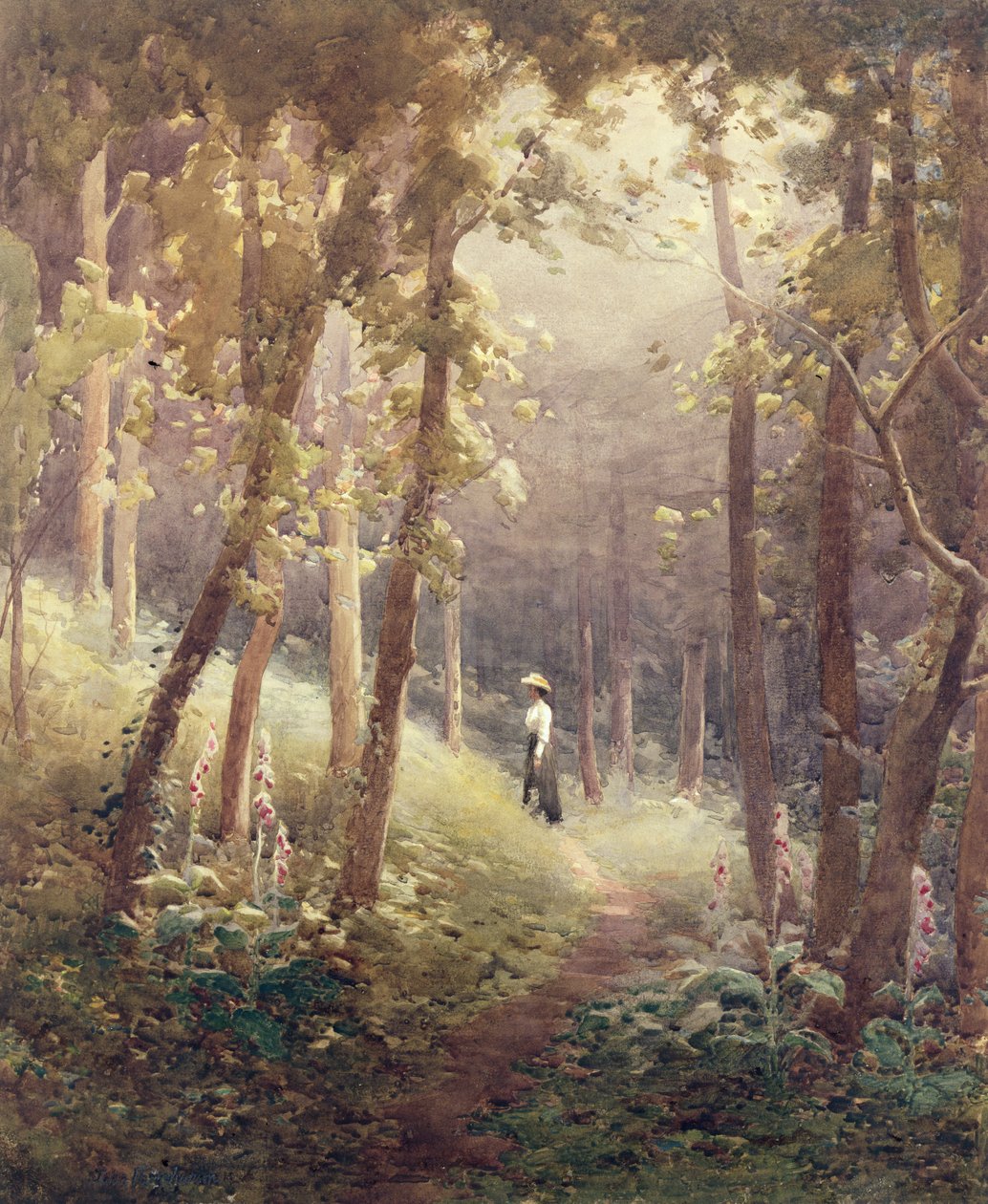 En skogsglädje av John Farquharson