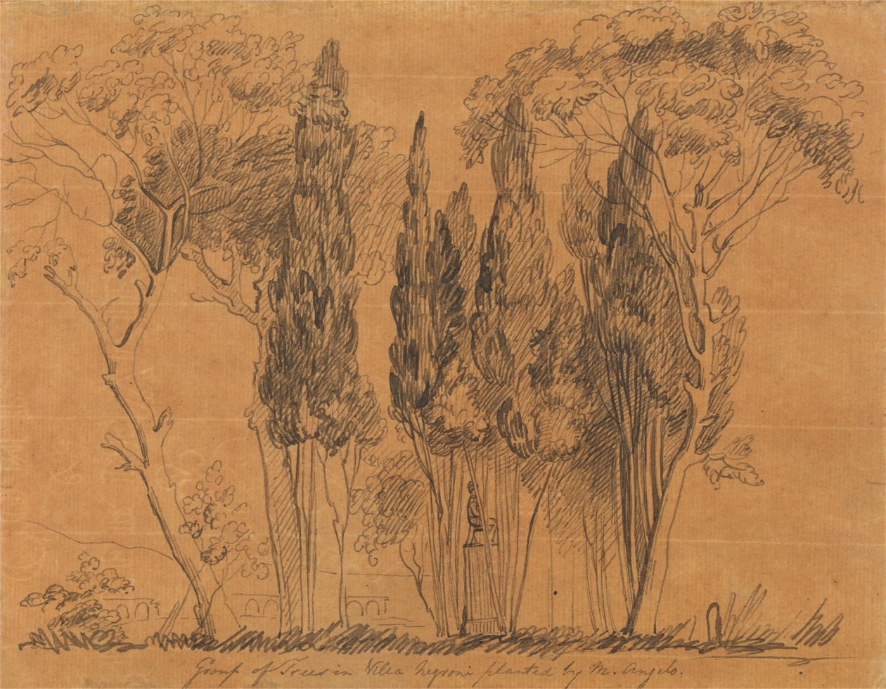 Träd i Villa Negroni planterade av M. Angelo av John Flaxman
