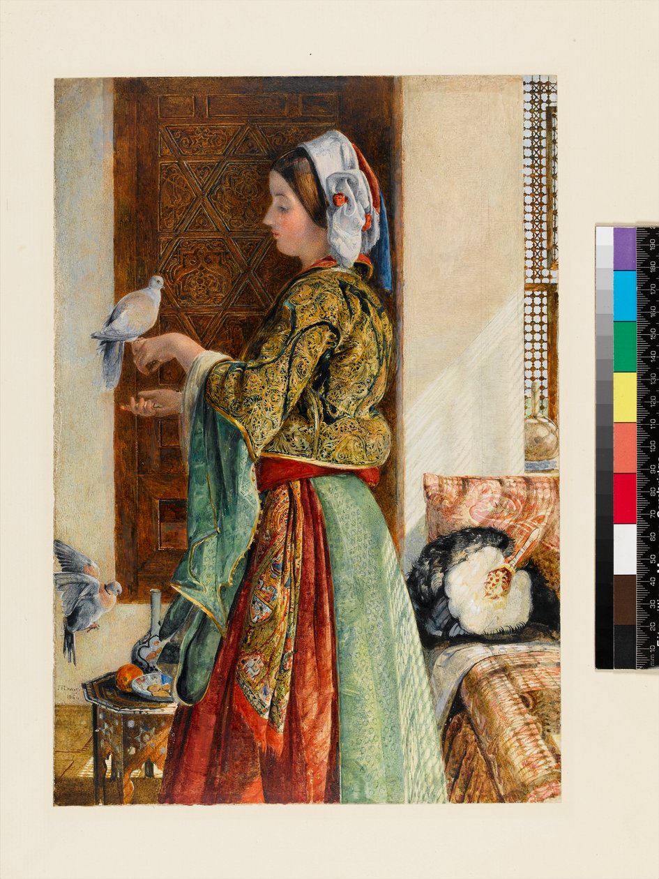 Girl with Two Caged Doves, Kairo, 1864 (wc och kroppsfärg över penna på tunt kort) av John Frederick Lewis