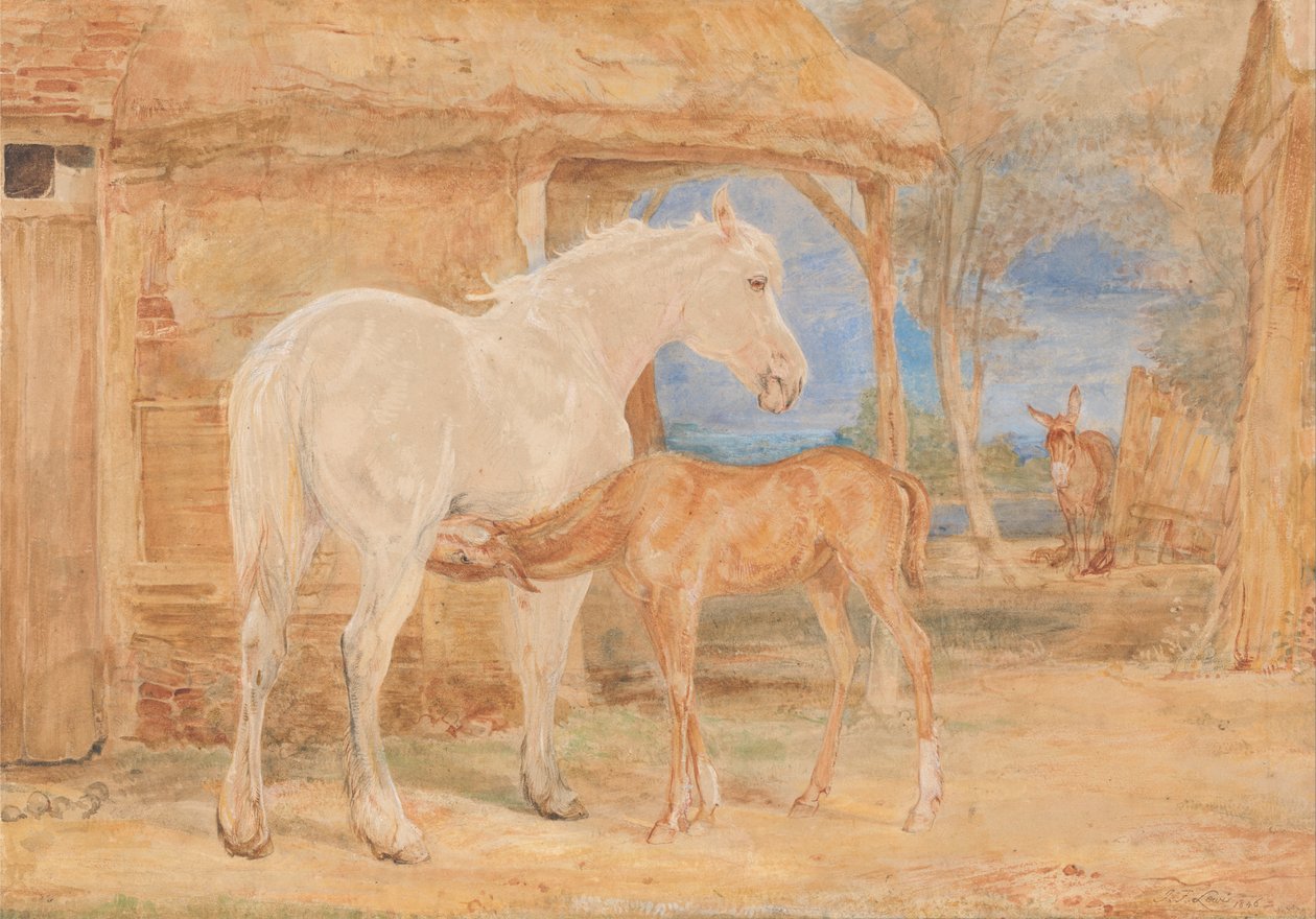 Grått sto och ett kastanjefärgat föl av John Frederick Lewis