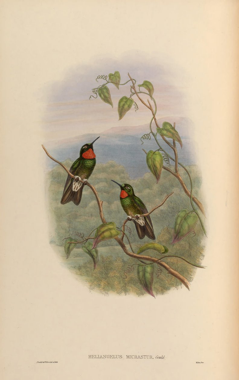 Plötsligt när han ansluter till Micra på vägen = tvingar han Angel USM IC -raster av John Gould