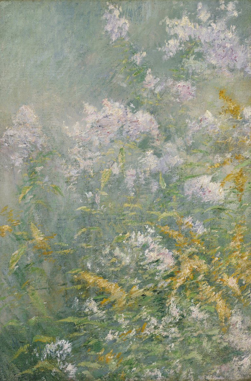 Ängsblommor (gyllene stav och vild aster) av John Henry Twachtman