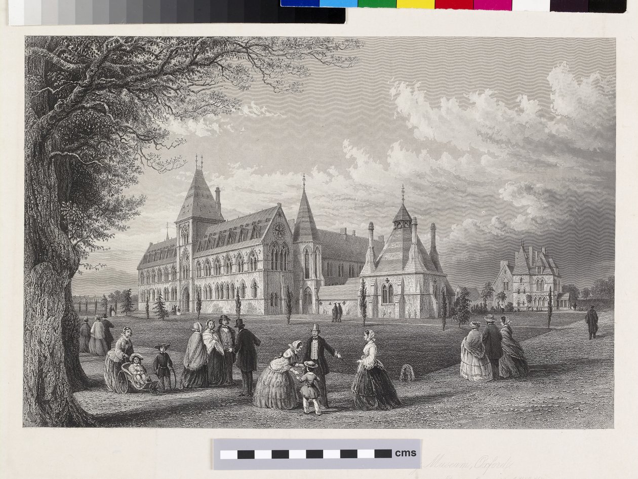 University Museum: Oxford-almanack för 1860, 1860 av John Le Keux