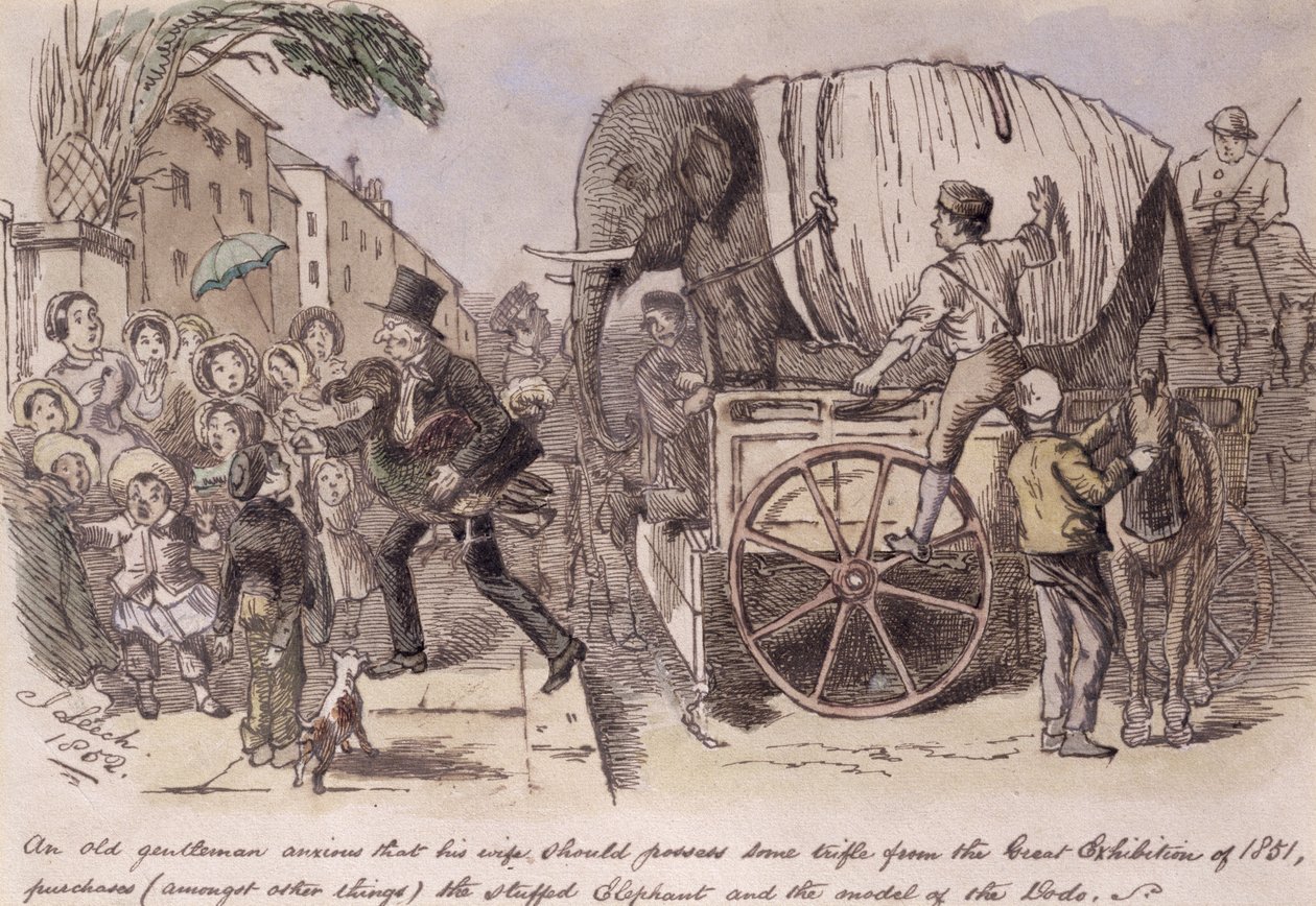 "En gammal herre som är angelägen om att hans hustru skulle ha lite småsaker från den stora utställningen 1851, köper (bland annat) den uppstoppade elefanten och modellen av dodo", ritad för Punch av John Leech