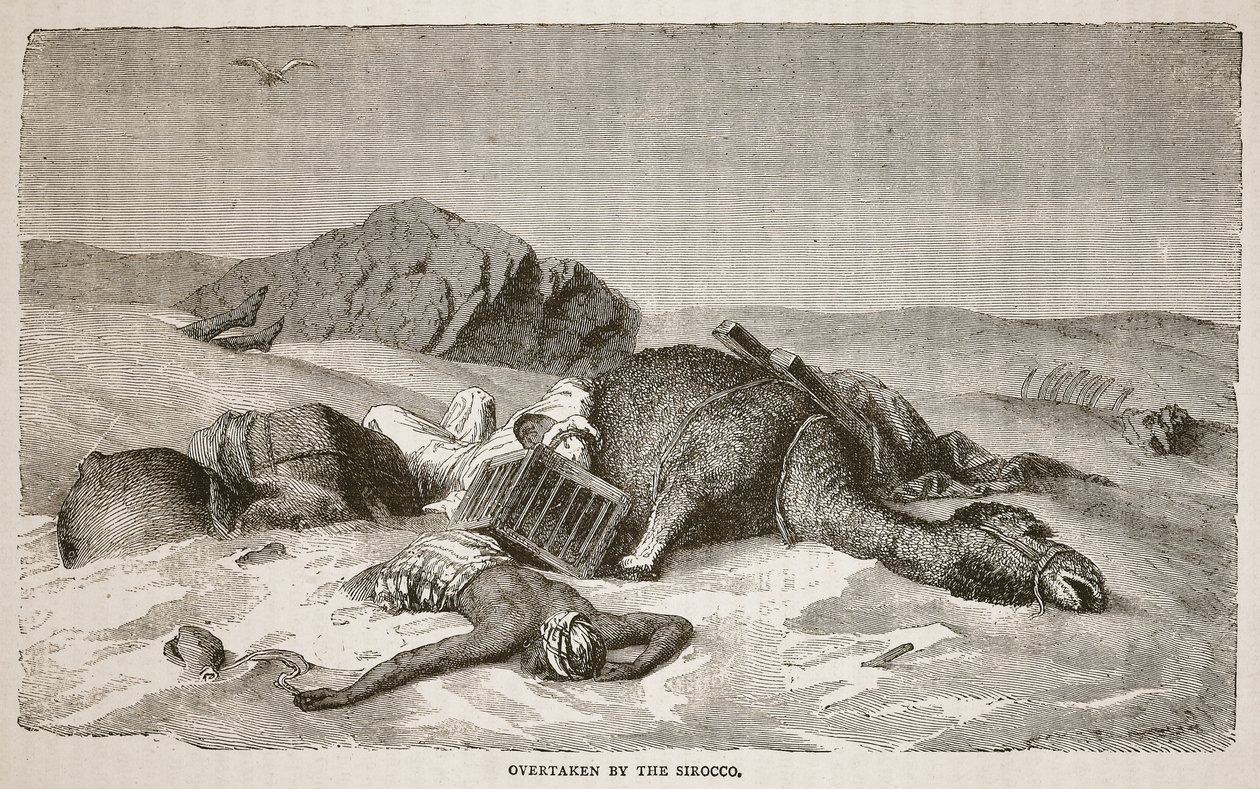 Omkörd av Sirocco, illustration från The Pictorial Edition av David Livingstones liv och upptäckter av J. Ewing Richie, pub. av A. Fullarton und Co., 1876 av John Martin