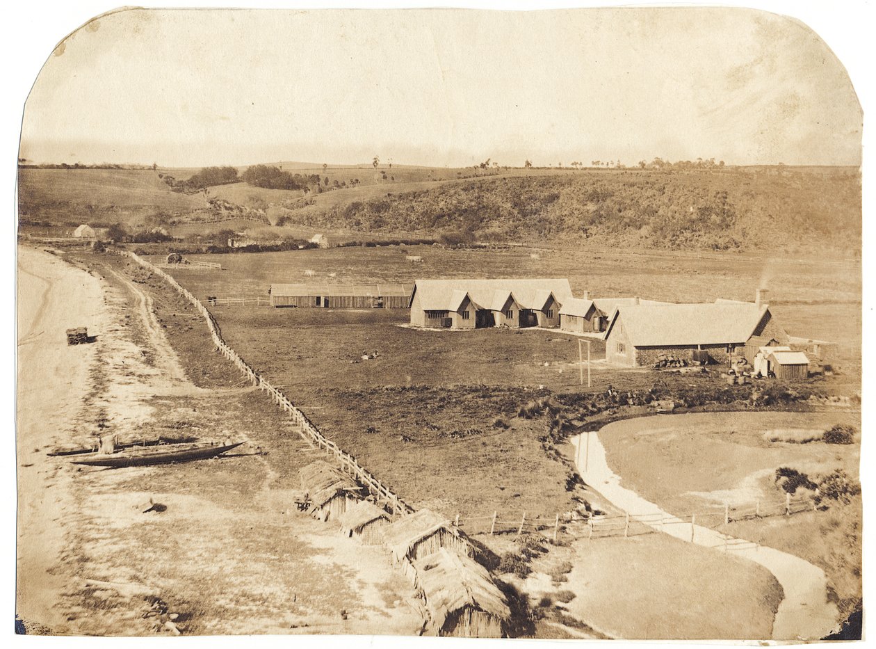 Kohimarama, ca 1860 (albuminiserat salttryck) av John Nicol Crombie