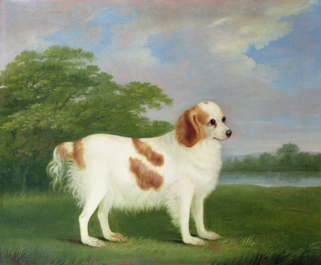 Spaniel i ett landskap, 1789 av John Nott Sartorius