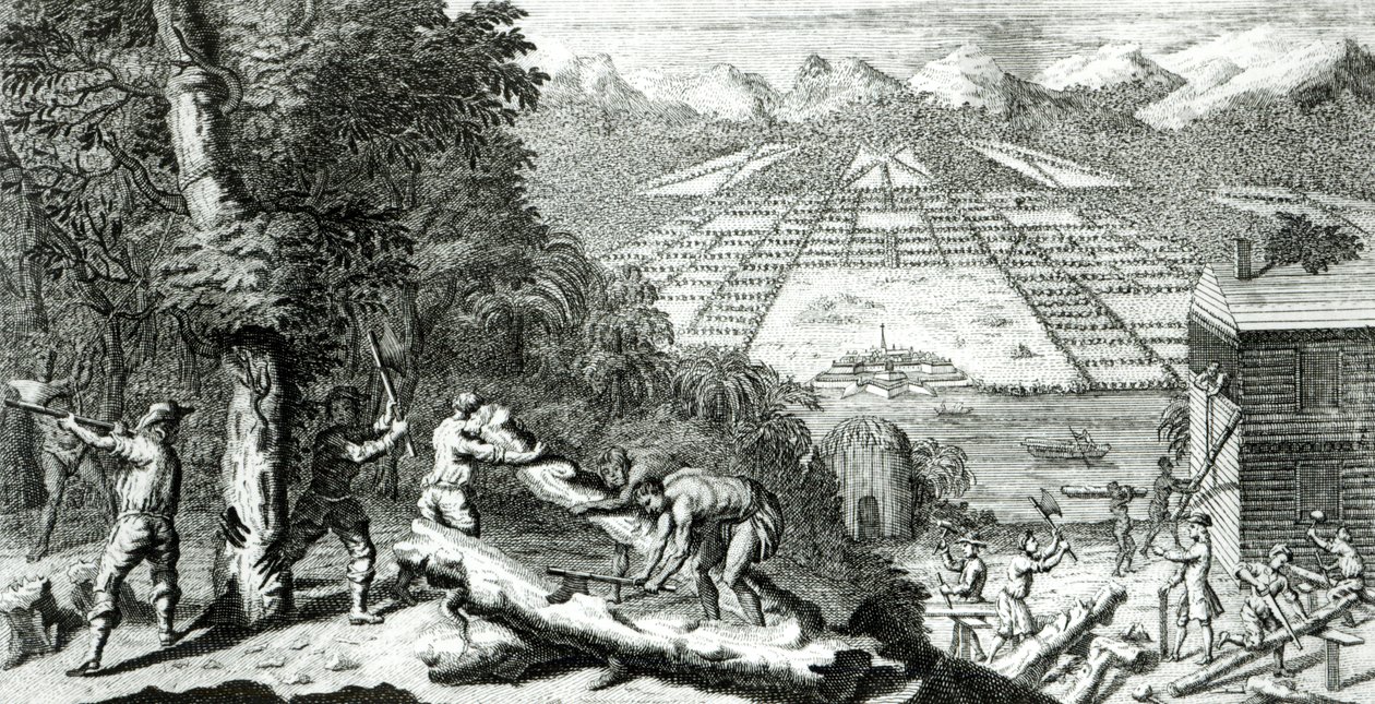Illustration från "Skälen till att etablera kolonin Georgia" av Benjamin Martyn (1699-1763), 1733 av John Pine