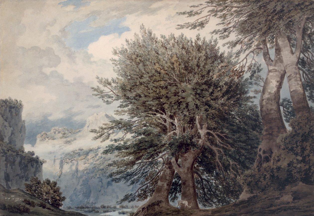Bergslandskap med bokar, 1792 av John Robert Cozens