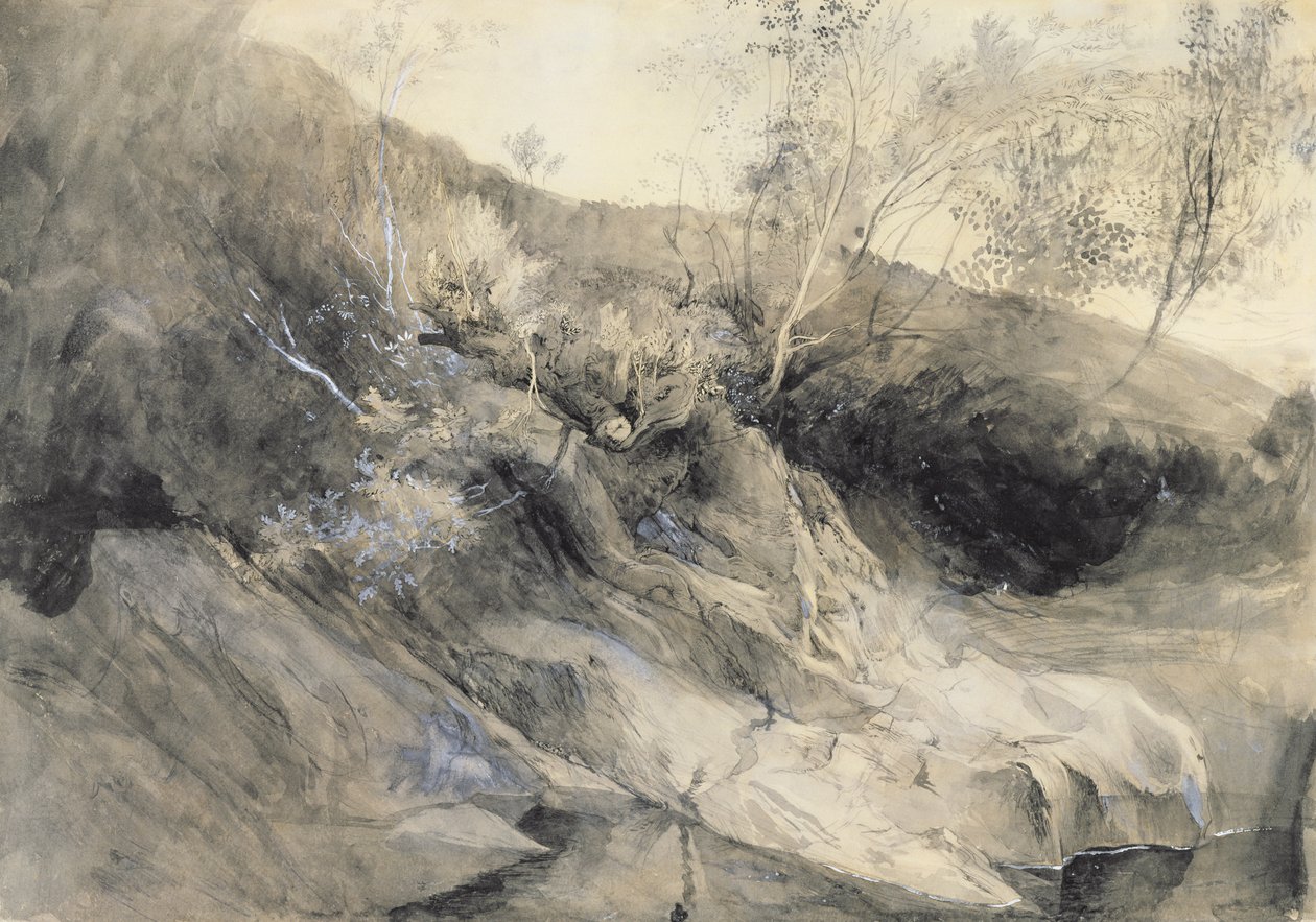 The Rocky Bank of a River - Verso: skiss av lövverk, ca 1853 (tvätt med penna och bläck över grafit på papper) av John Ruskin