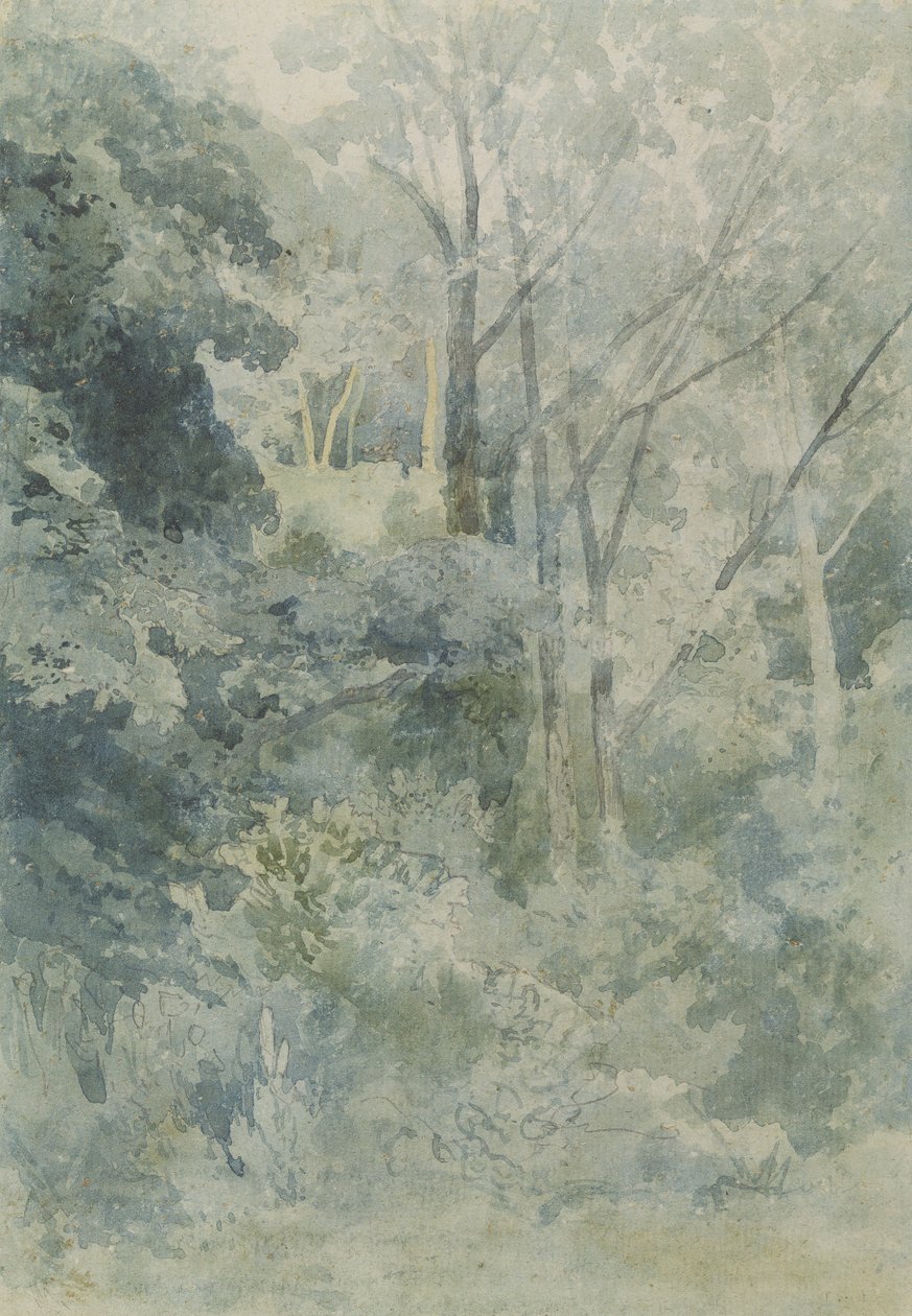 I Rokeby Park, ca 1805 (wc och penna på papper) av John Sell Cotman
