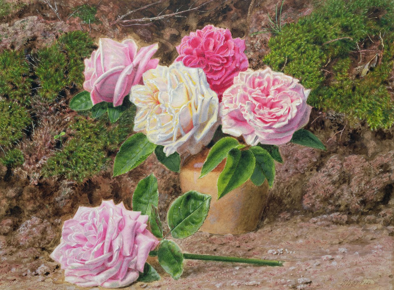 Rosor i en vas av lergods vid en mossig bank av John Sherrin