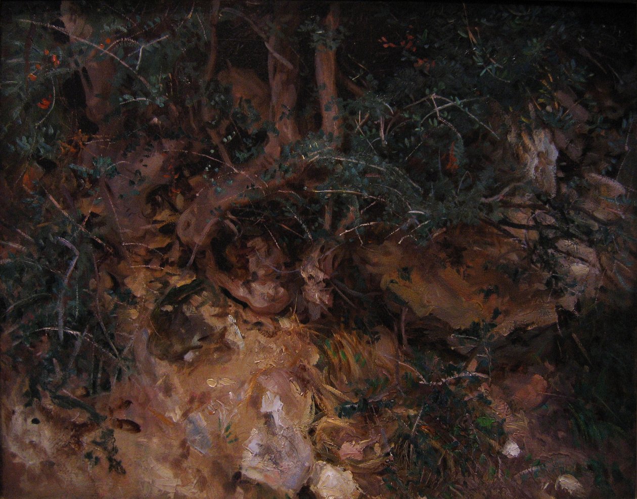  Valdemosa, Majorca: Thistles and Herbage on a Hillsiden  av John Singer Sargent