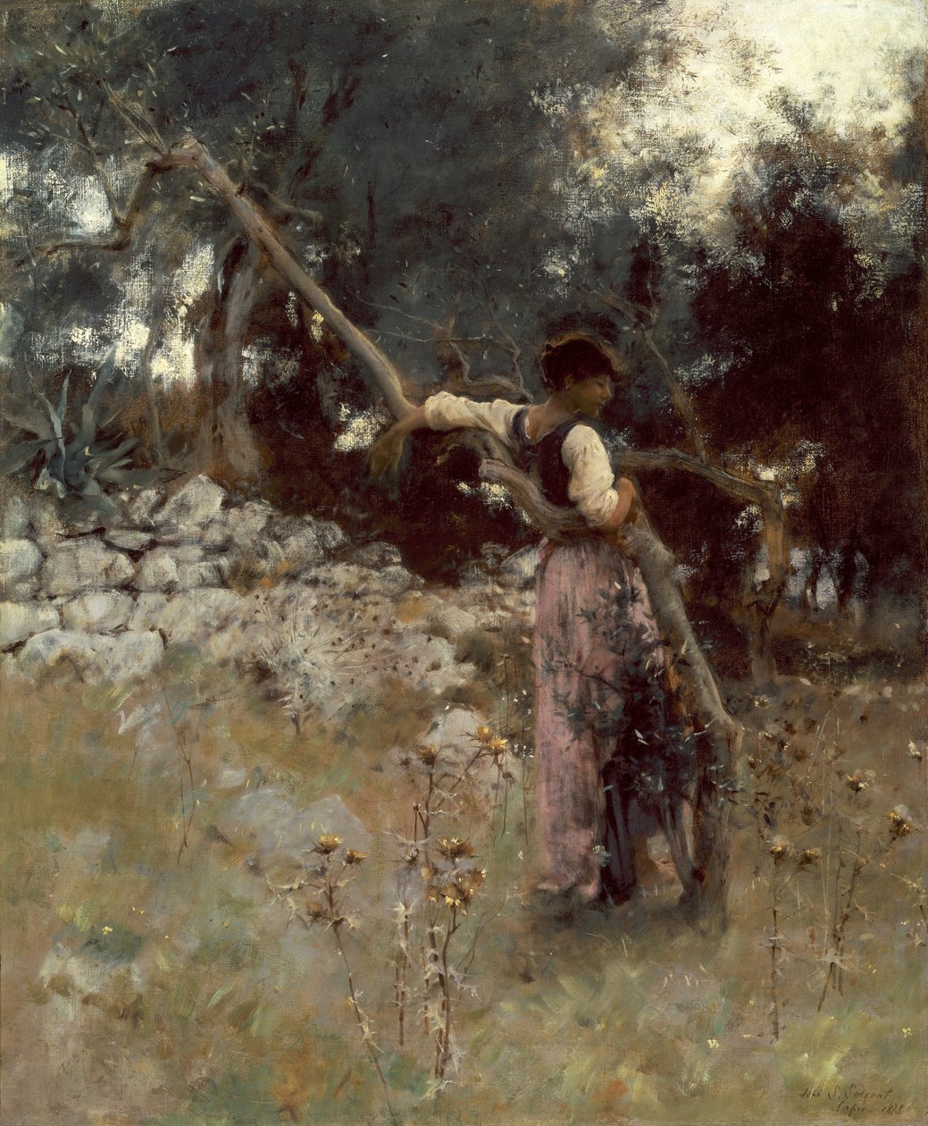 A Capriote av John Singer Sargent