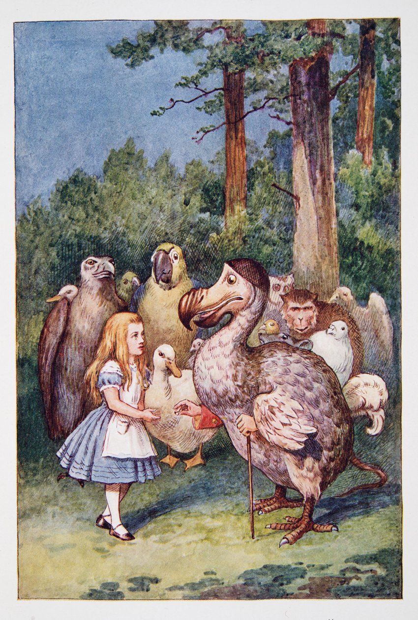 Alice möter Dodo, från Alices Adventures in Wonderland And Through The Looking-Glass And What Alice Found There, av Lewis Carroll (1832 - 98), publicerad 1911 (färgad litografi) av John Tenniel