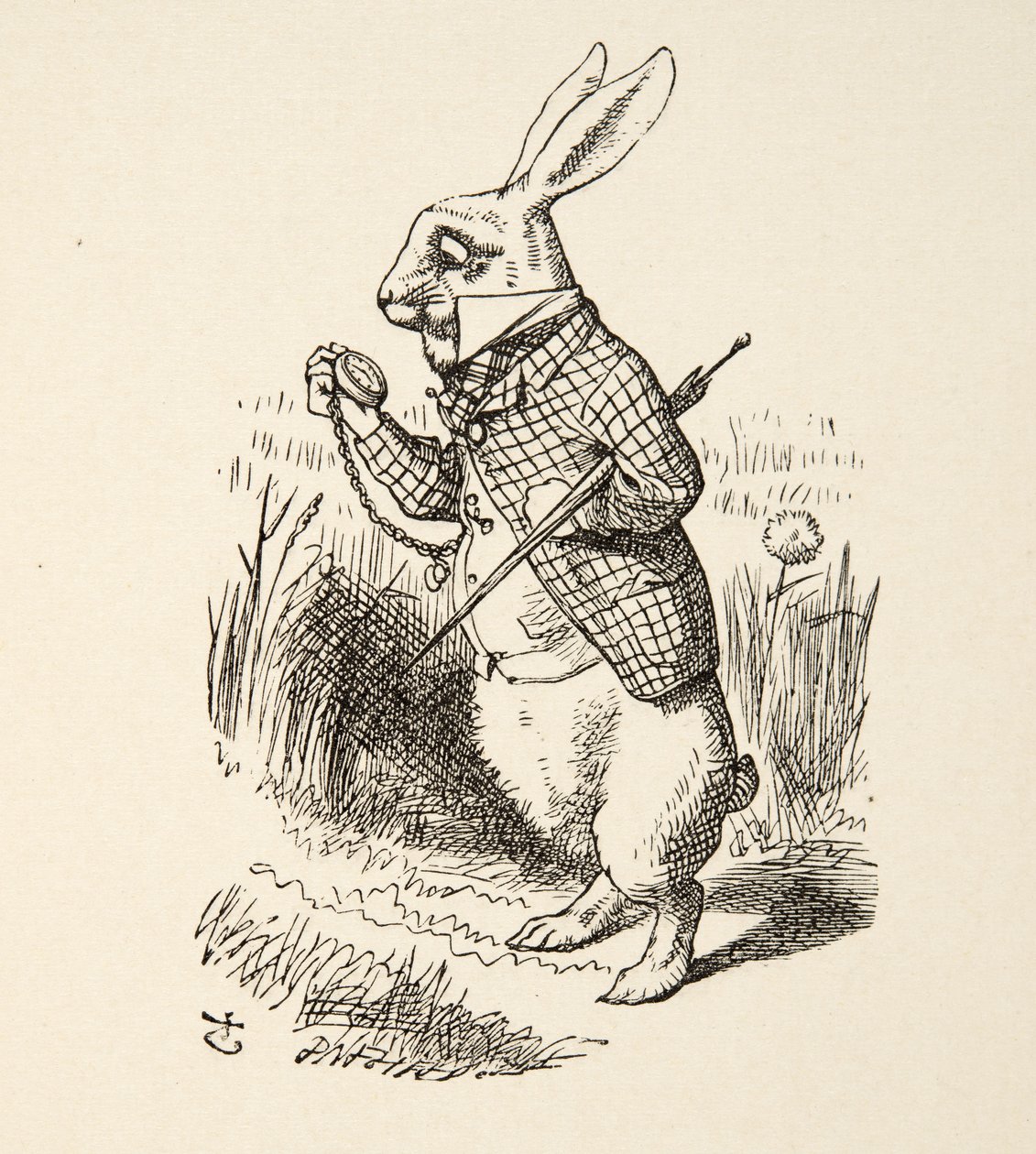 The White Rabbit, från Alices Adventures in Wonderland av Lewis Carroll (1832 - 98), pub. 1891 av John Tenniel